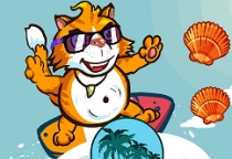 Surfer Cat