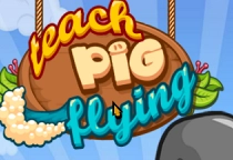 Teach Pig Flying