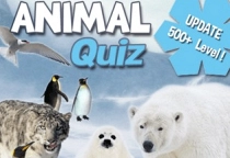 Tier Quiz