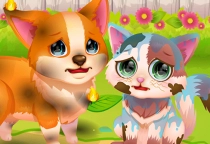Funny Pet Rescue