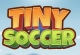 Tiny Soccer