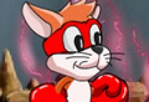 Toffy Cat