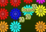 Play Flower Action Puzzle