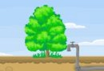 Save My Tree