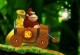 Play Donkey Kong Jungelride