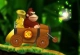 Donkey Kong Jungelride