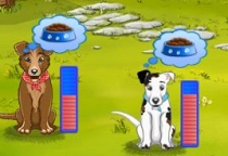 Hunde pflegen