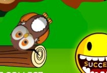 Successful Owl