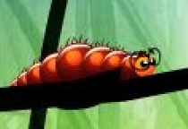 Larva Dream