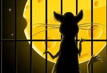 Ratten Labyrinth