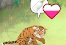 Tiger Pflegen Spiel