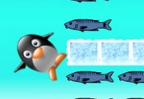 Penguin Cannon