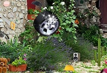 Suche im Garten
