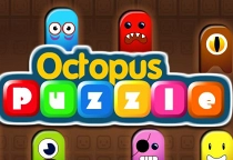 Octopus Puzzle