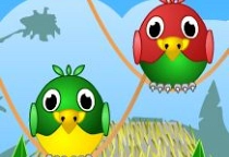 Vögel befreien