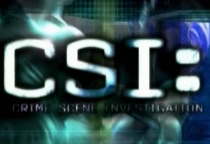 CSI Spiel