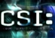 CSI Spiel