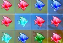 Fische befreien