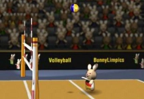 Hasen Volleyball