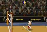 Play Hasen Volleyball