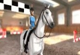 Play Springreiten 3D