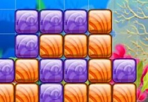 Wowin Blocks