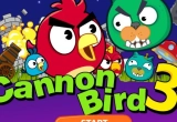 Play Cannon Bird 3