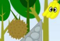 Durians Rache