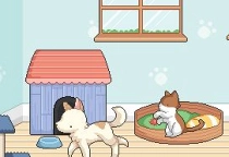 Tierpension