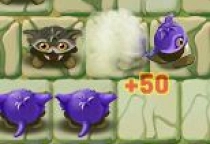 Troglodytes 2