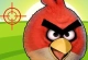 Angry Birds Hunting