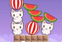 Katzen und Wassermelonen