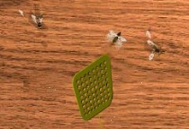 Fliegenklatsche