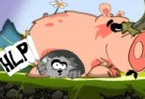 Save Echidna