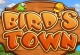 Birds Town