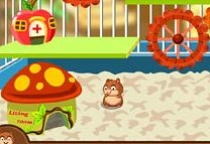 My Sweet Hamster