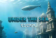 Under the Sea Escape
