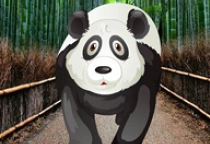 Wakeup The Sleeping Panda