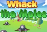 Whack the Mole