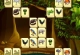 Wild Animals Mahjong