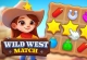 Wild West Match 3