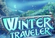 Wimmelbild Winter Traveler