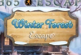 Winter Forest Escape