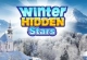 Winter Hidden Stars