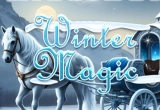 Winter Magic Wimmelbild