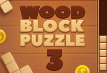 Wood Block Puzzle 3