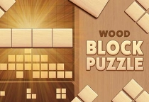 Wood Puzzle