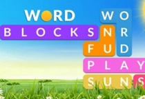 Word Blocks