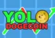 Yolo Dogecoin