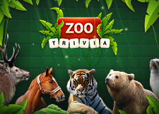 Zoo Spiele Kostenlos